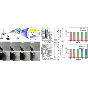 Development and Employment of in situ Analytical Techniques for Energy Storage & Conversion