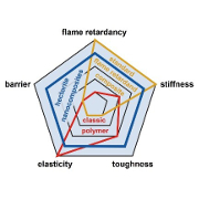Multifunctional Flame Retardants